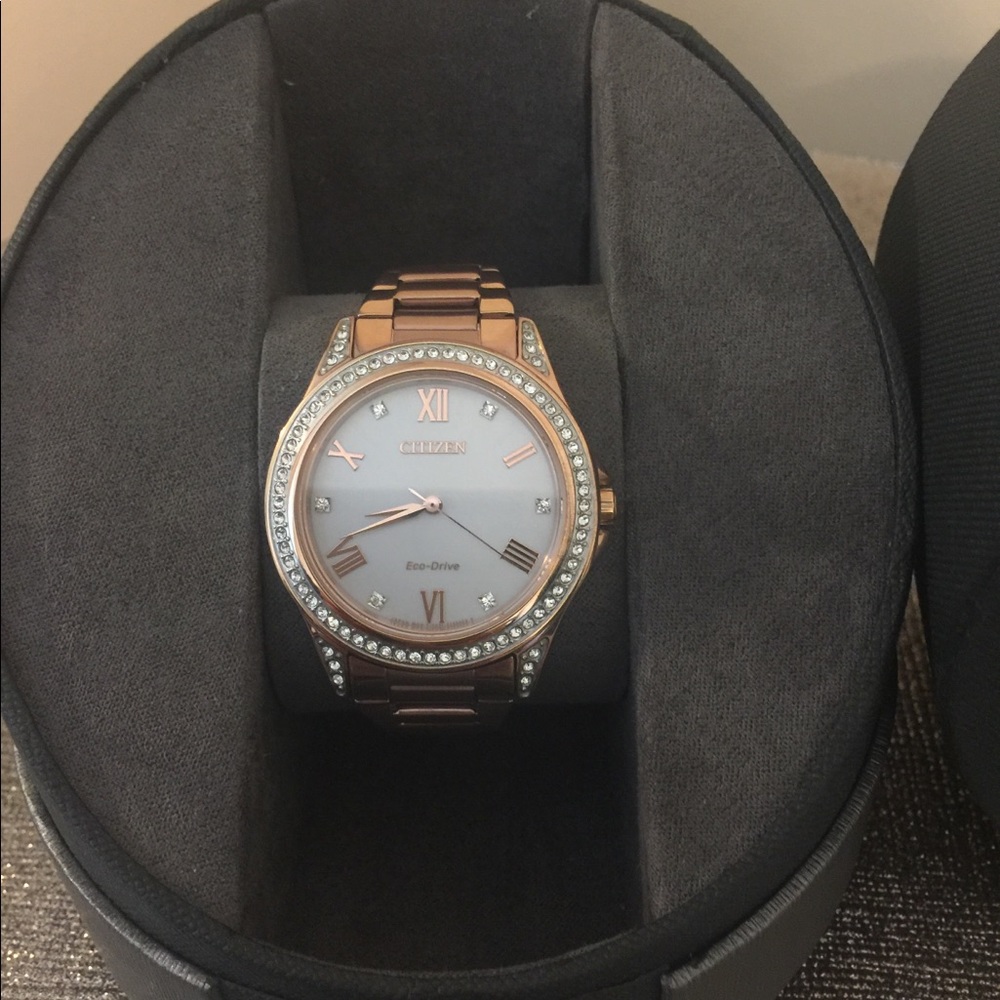 Rose Gold Citizen Echo Drive